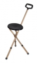 cane-with-seat-web